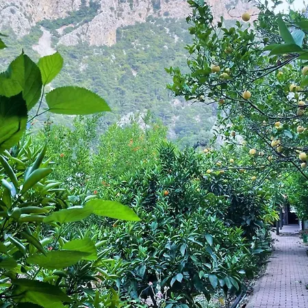 Varuna & Restaurant Pensionat Olympos